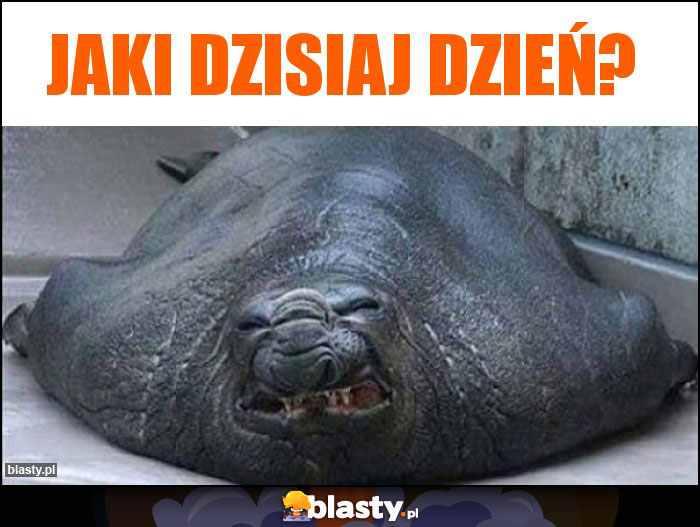 Jaki dzisiaj dzień? Jaki dzisiaj dzień?