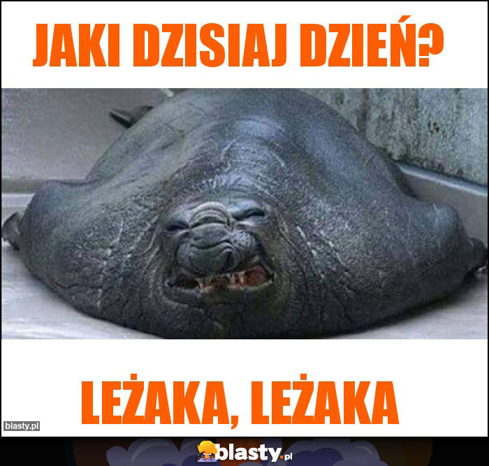 Jaki dzisiaj dzień? Jaki dzisiaj dzień?