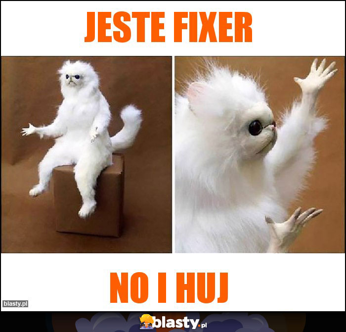 Jeste fixer Jeste fixer