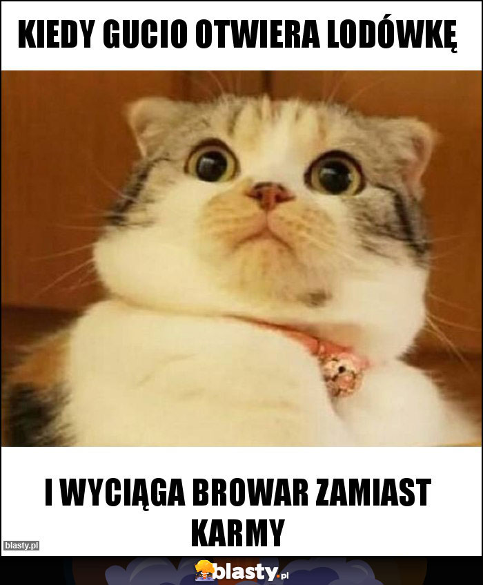 KIEDY GUCIO OTWIERA LODÓWKĘ