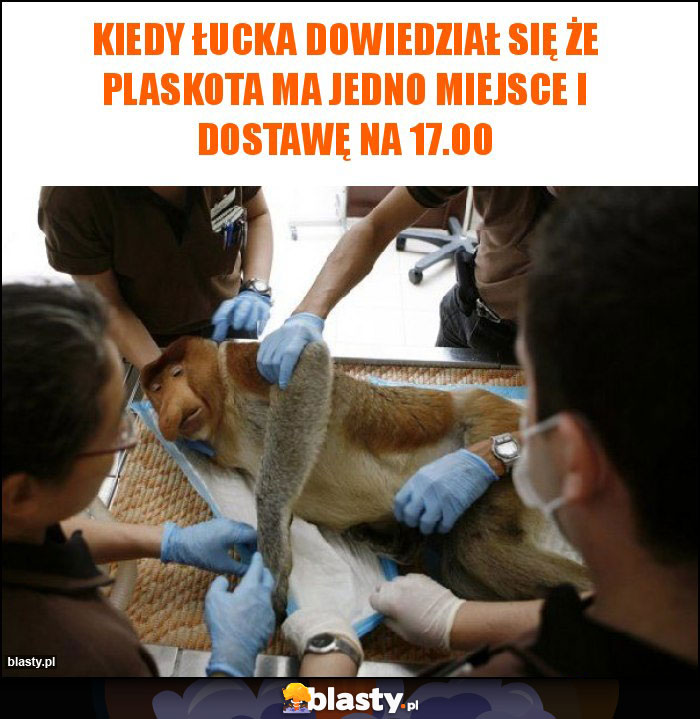 Kiedy Łucka dowiedział się że Plaskota ma jedno miejsce i dostawę na 17.00 Kiedy Łucka dowiedział się że Plaskota ma jedno miejsce i dostawę na 17.00