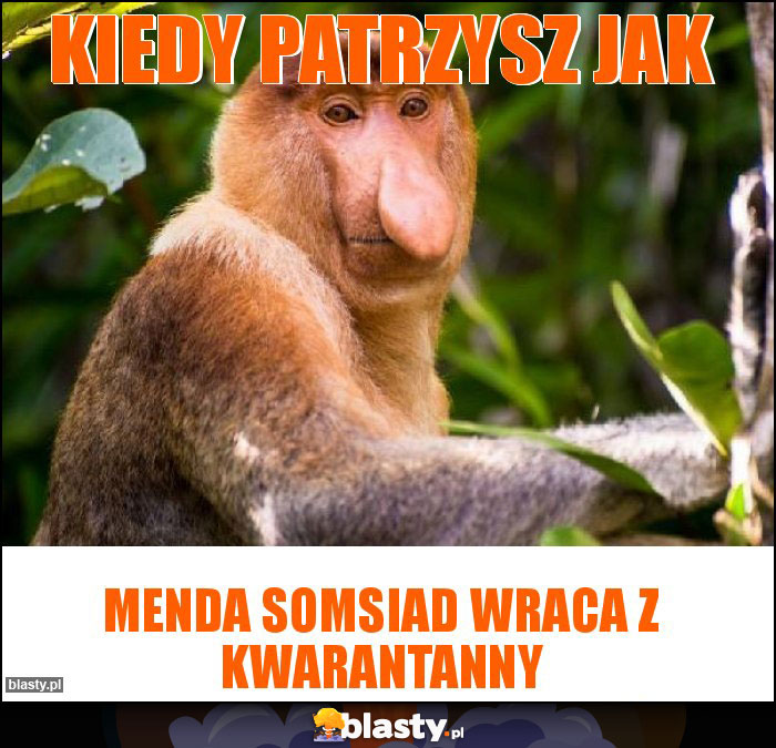 Kiedy patrzysz jak Kiedy patrzysz jak