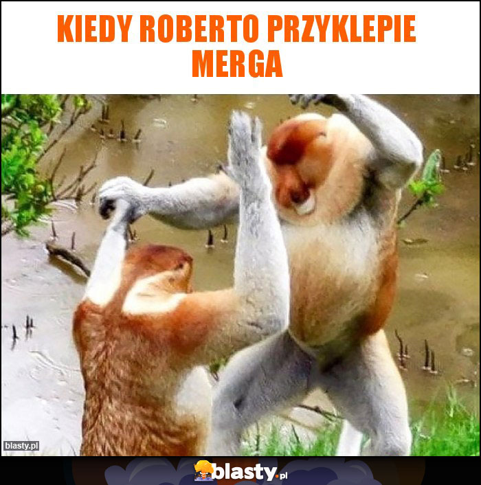 Kiedy Roberto przyklepie merga Kiedy Roberto przyklepie merga