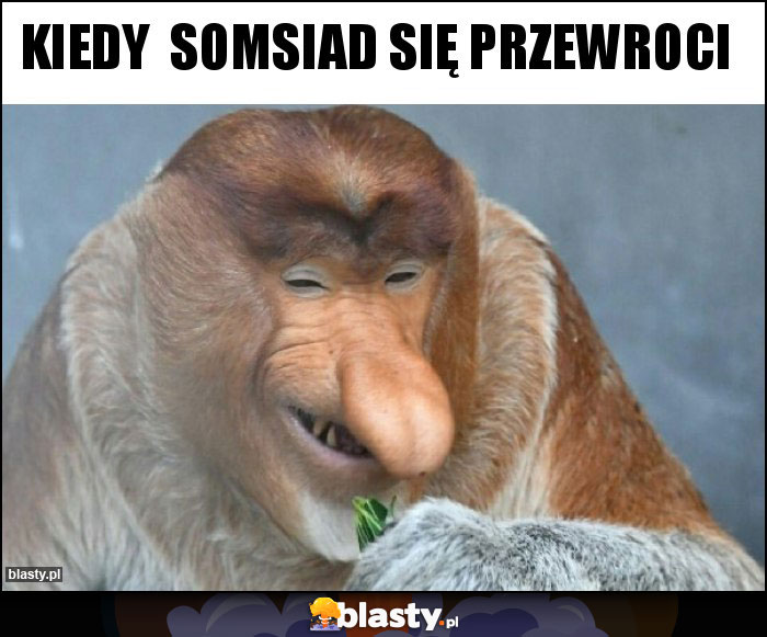 Kiedy somsiad się przewroci Kiedy somsiad się przewroci