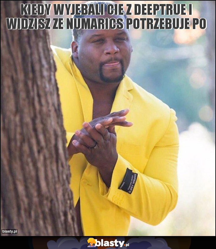 Kiedy wyjebali cie z deeptrue i widzisz ze Numarics potrzebuje PO Kiedy wyjebali cie z deeptrue i widzisz ze Numarics potrzebuje PO
