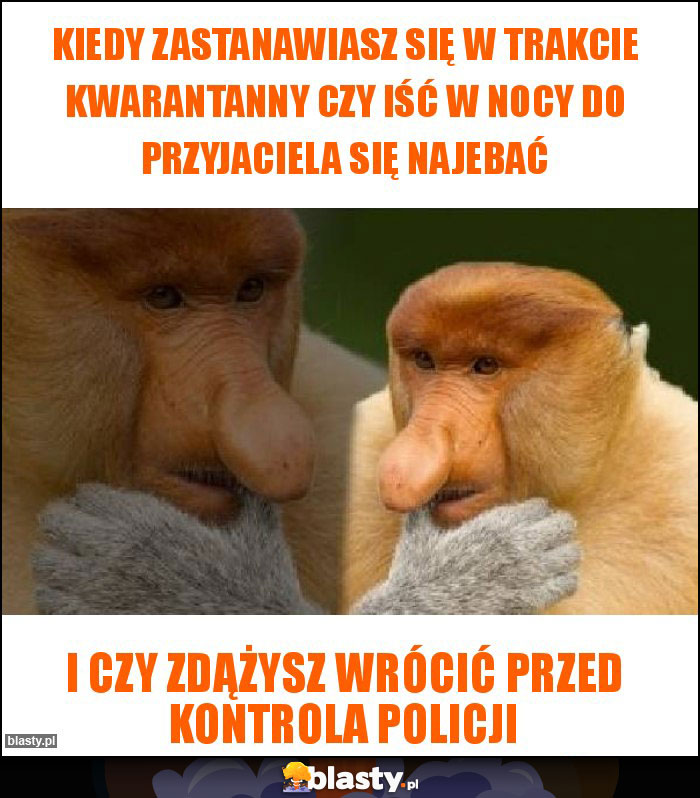 Kiedy zastanawiasz się w trakcie kwarantanny czy iść w nocy do przyjaciela się najebać Kiedy zastanawiasz się w trakcie kwarantanny czy iść w nocy do przyjaciela się najebać