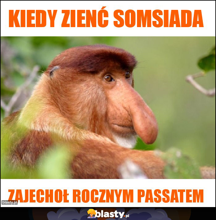Kiedy zienć somsiada Kiedy zienć somsiada
