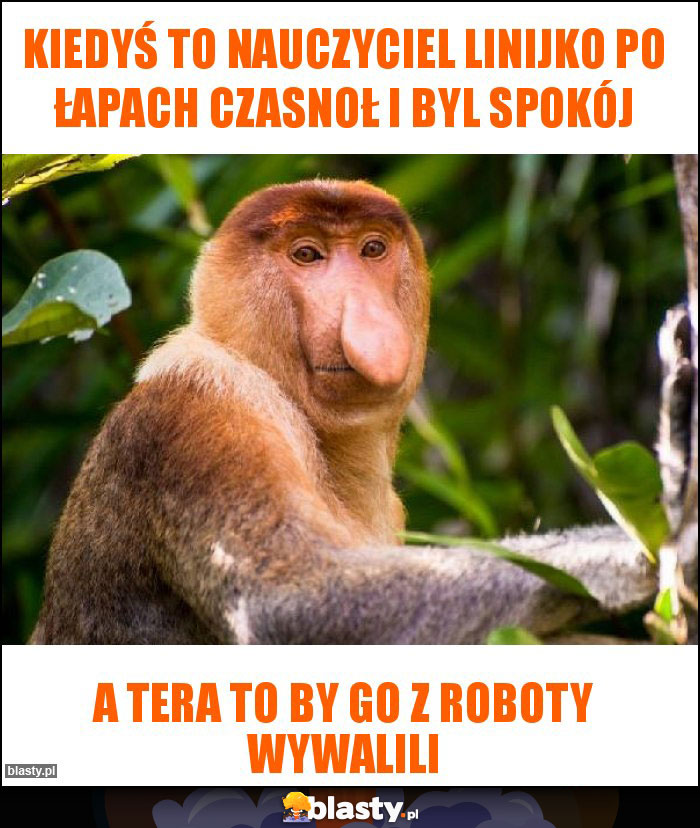 KIEDYŚ TO NAUCZYCIEL LINIJKO PO ŁAPACH CZASNOŁ i byl spokój KIEDYŚ TO NAUCZYCIEL LINIJKO PO ŁAPACH CZASNOŁ i byl spokój