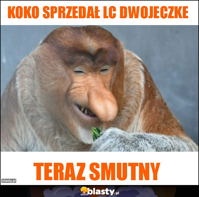 Koko sprzedał lc dwojeczke Koko sprzedał lc dwojeczke