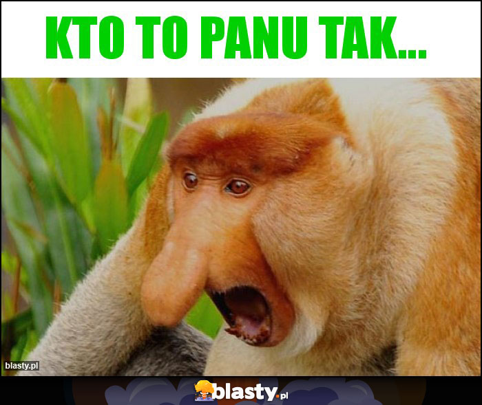 Kto to Panu tak... Kto to Panu tak...