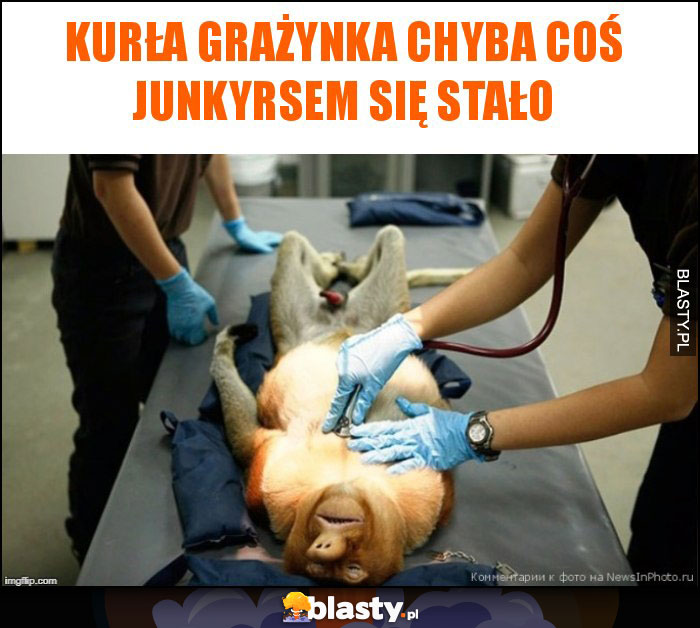 Kurła Grażynka chyba coś Junkyrsem się stało Kurła Grażynka chyba coś Junkyrsem się stało