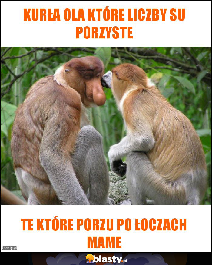 Kurła Ola które liczby su porzyste Kurła Ola które liczby su porzyste