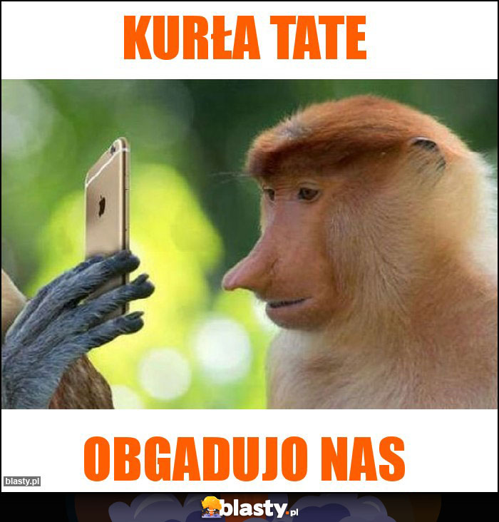 KURŁA TATE KURŁA TATE