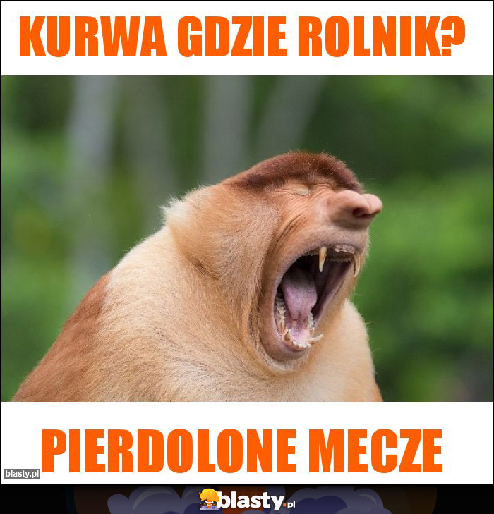 Kurwa gdzie rolnik? Kurwa gdzie rolnik?