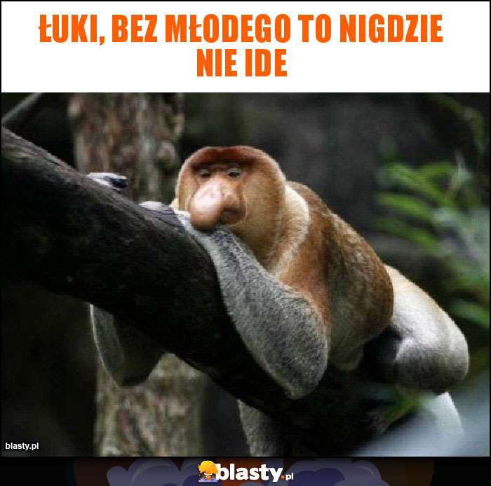 ŁUKI, BEZ MŁODEGO TO NIGDZIE NIE IDE ŁUKI, BEZ MŁODEGO TO NIGDZIE NIE IDE