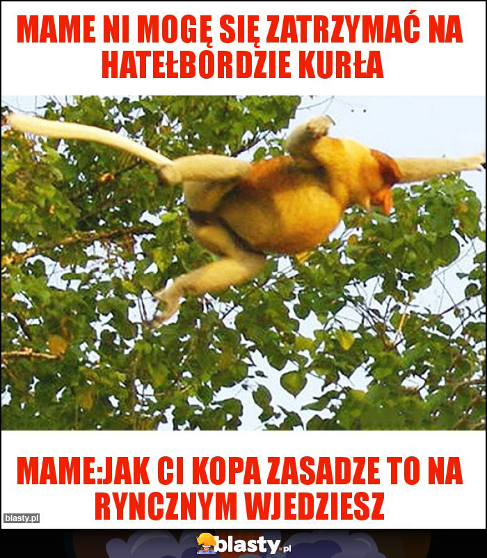 Mame ni mogę się zatrzymać na hatełbordzie kurła Mame ni mogę się zatrzymać na hatełbordzie kurła