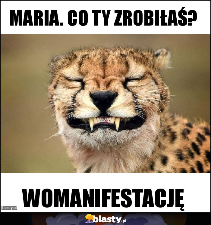 Maria. Co ty zrobiłaś? Maria. Co ty zrobiłaś?