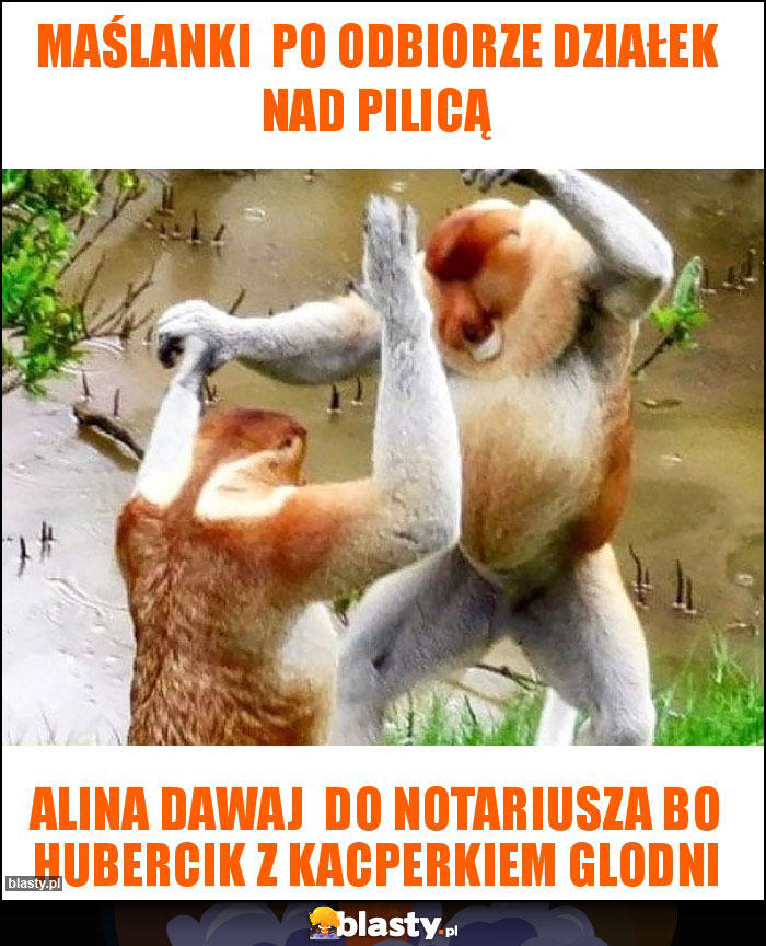 Maślanki  po odbiorze działek nad pilicą