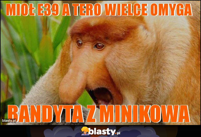 Mioł e39 a tero wielce Omyga Mioł e39 a tero wielce Omyga