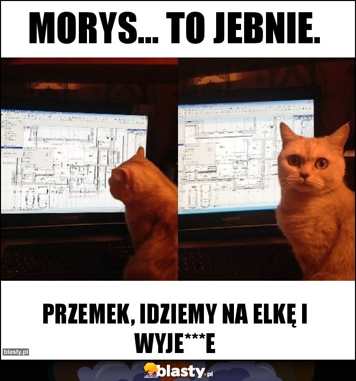Morys... to jebnie. Morys... to jebnie.