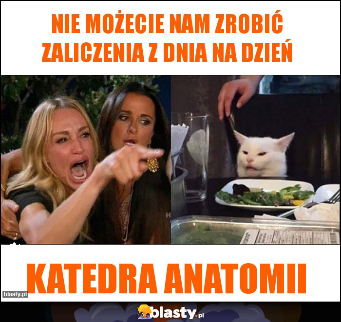Nie możecie nam zrobić zaliczenia z dnia na dzień Nie możecie nam zrobić zaliczenia z dnia na dzień