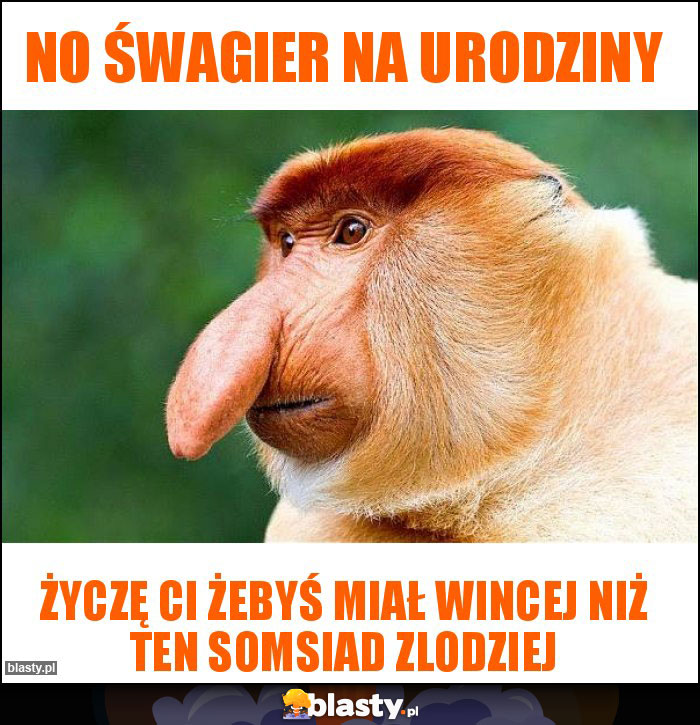 No śwagier na urodziny No śwagier na urodziny