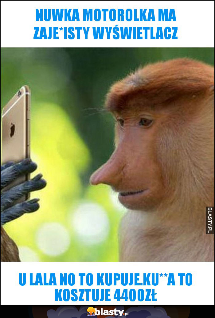 nuwka motorolka ma zaje*isty wyświetlacz nuwka motorolka ma zaje*isty wyświetlacz
