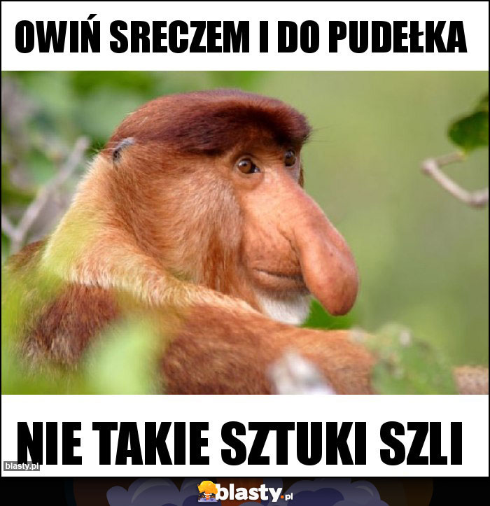 Owiń sreczem i do pudełka Owiń sreczem i do pudełka