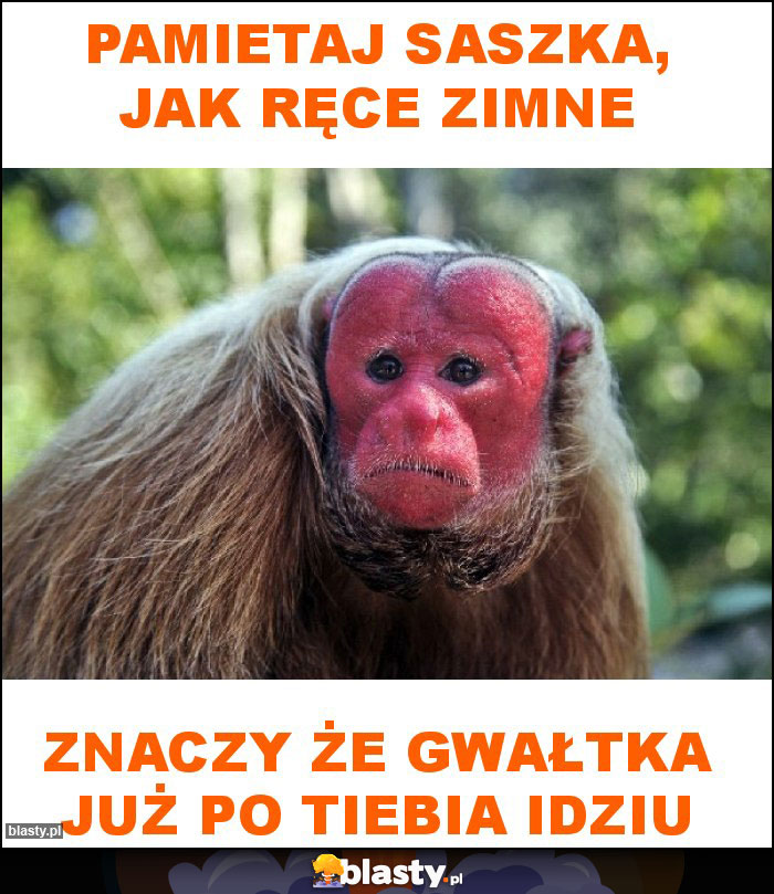 Pamietaj saszka, jak ręce zimne Pamietaj saszka, jak ręce zimne