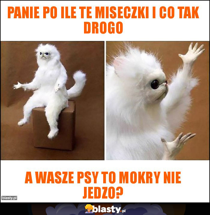 Panie po ile te miseczki i co tak drogo Panie po ile te miseczki i co tak drogo