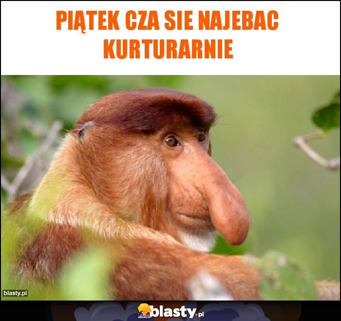 Piątek cza sie najebac kurturarnie Piątek cza sie najebac kurturarnie