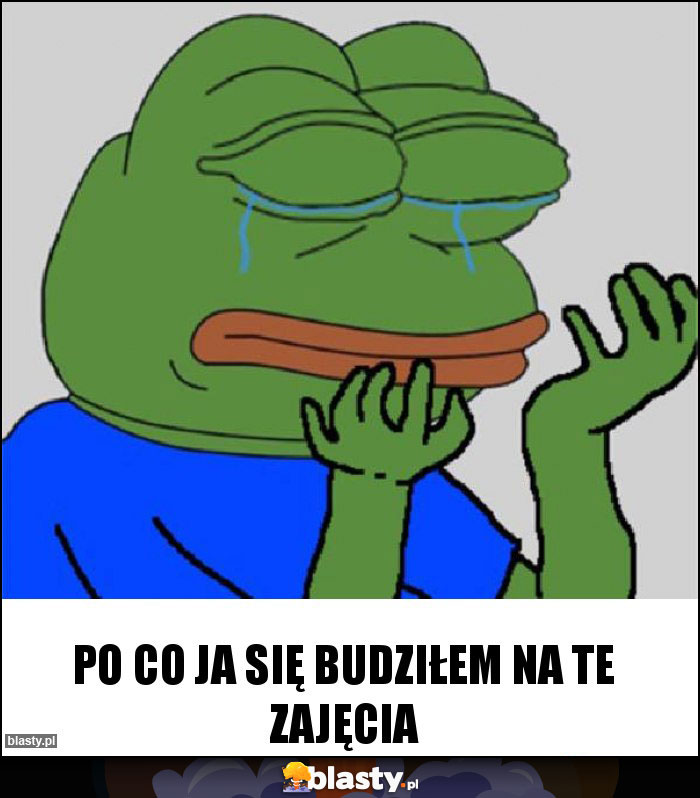 Po co ja się budziłem na te zajęcia Po co ja się budziłem na te zajęcia