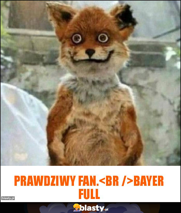 Prawdziwy fan.
Bayer full Prawdziwy fan.
Bayer full