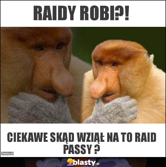 Raidy robi?! Raidy robi?!