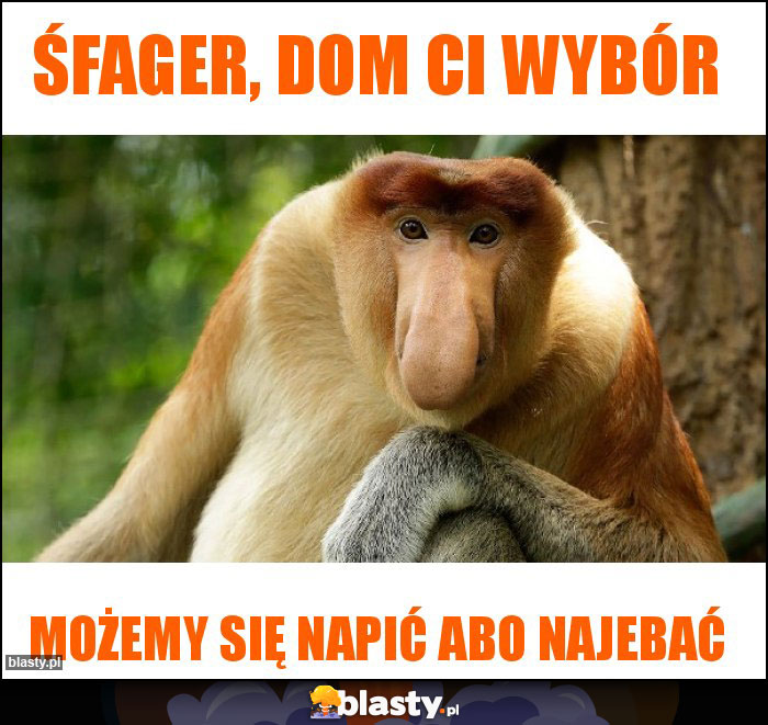 Śfager, dom ci wybór Śfager, dom ci wybór