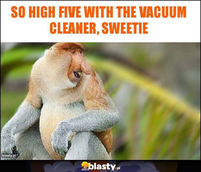 so high five with the vacuum cleaner, Sweetie so high five with the vacuum cleaner, Sweetie
