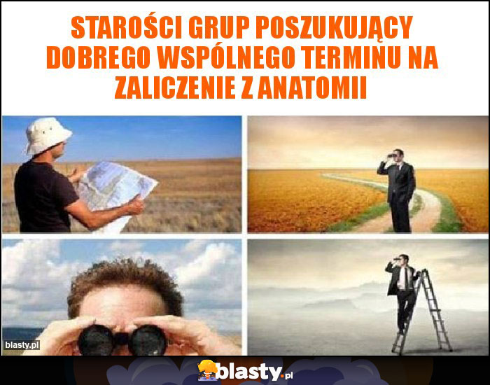 Starości grup poszukujący dobrego wspólnego terminu na zaliczenie z anatomii Starości grup poszukujący dobrego wspólnego terminu na zaliczenie z anatomii