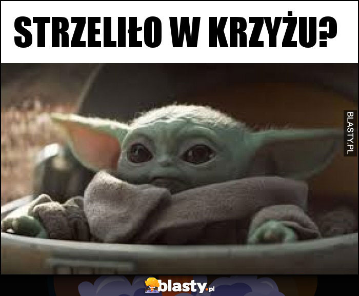 STRZELIŁO W KRZYŻU? STRZELIŁO W KRZYŻU?