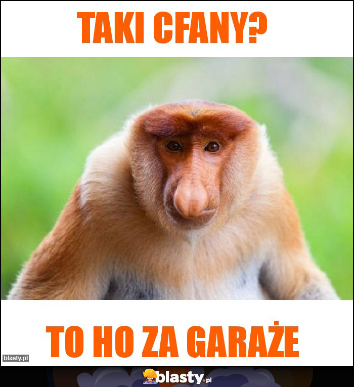 TAKI CFANY? TAKI CFANY?
