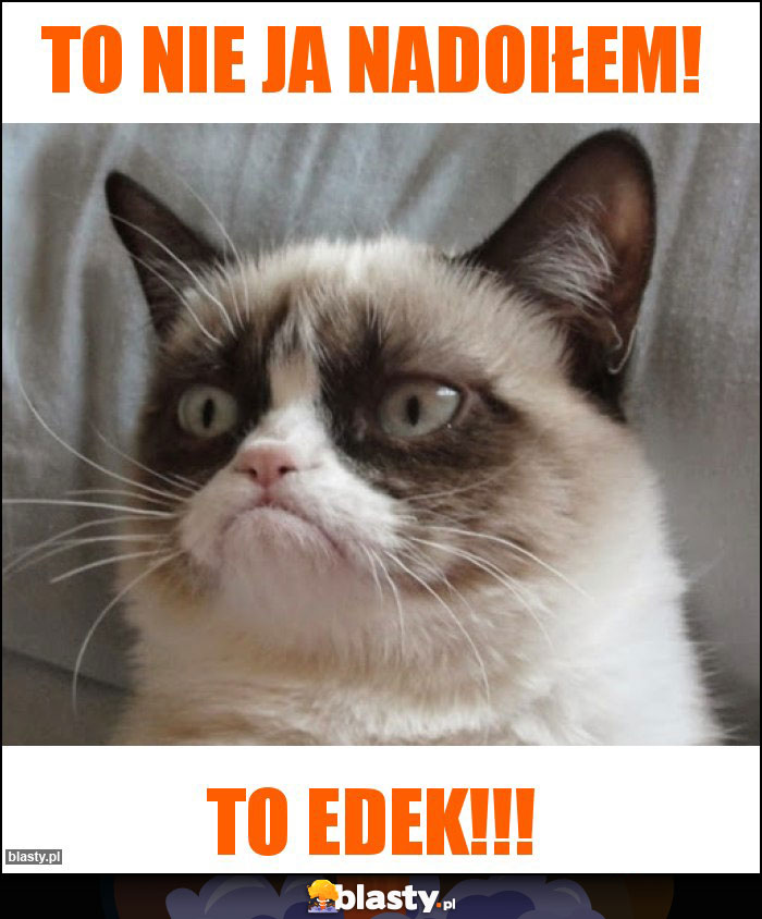 to nie ja nadoiłem! to nie ja nadoiłem!