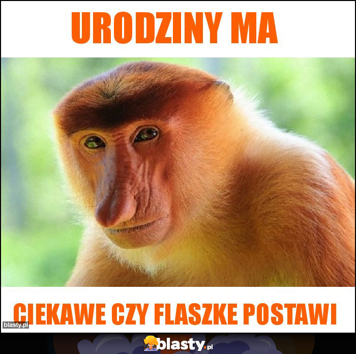 Urodziny ma Urodziny ma