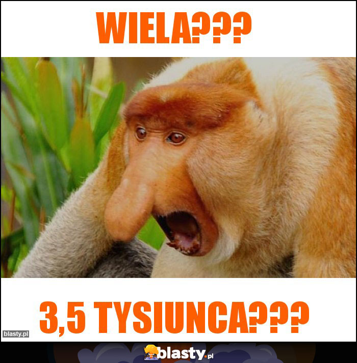 WIELA???
