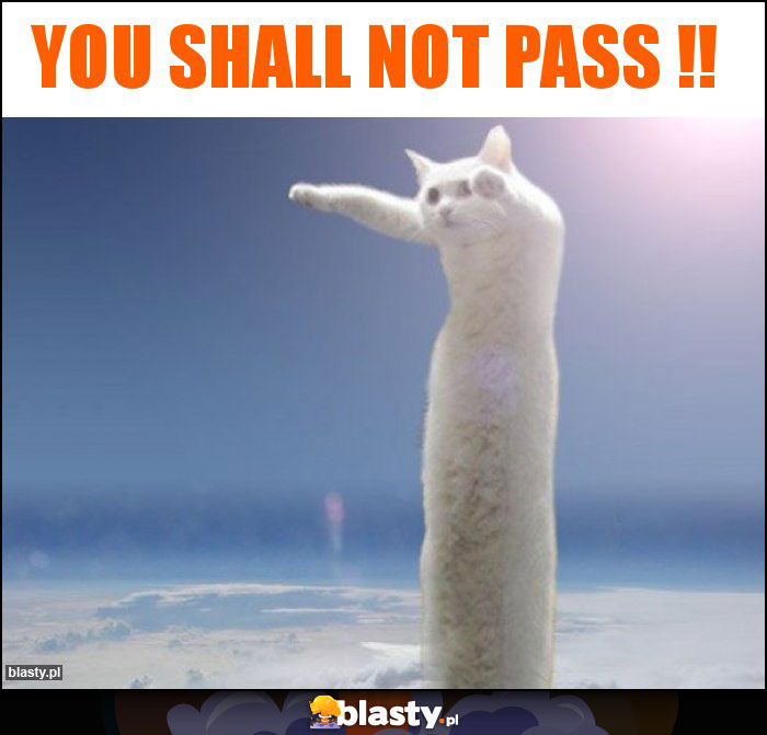 you shall not pass !! you shall not pass !!