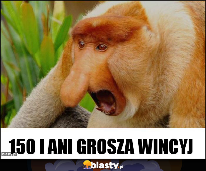 150 i ani grosza wincyj 150 i ani grosza wincyj