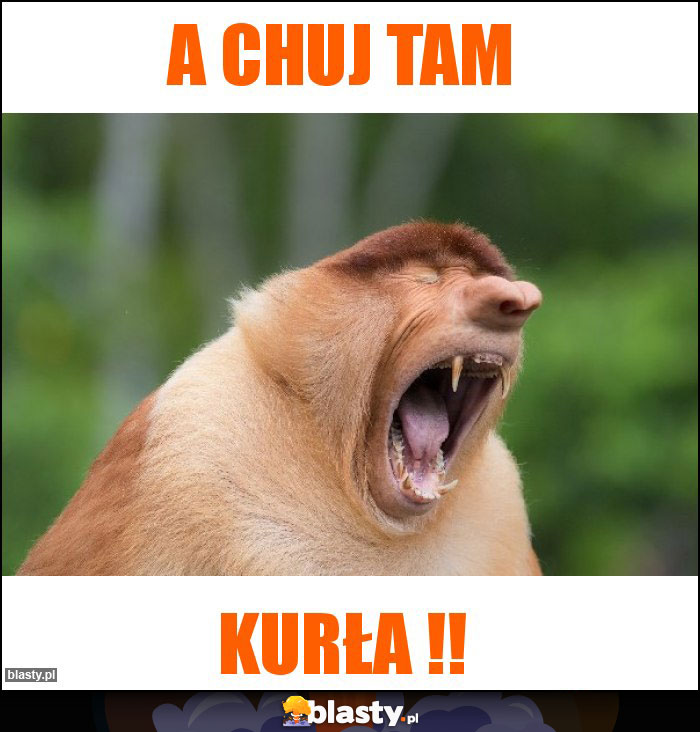 A chuj tam A chuj tam