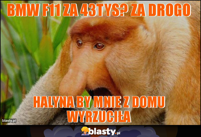 bmw f11 za 43tys? za drogo bmw f11 za 43tys? za drogo