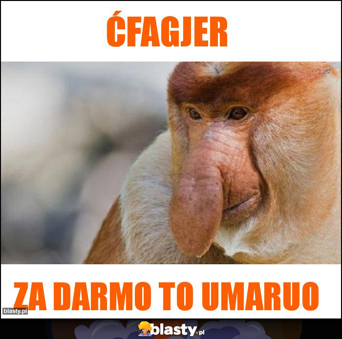 Ćfagjer