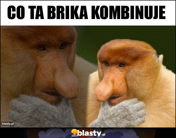 Co ta Brika kombinuje Co ta Brika kombinuje