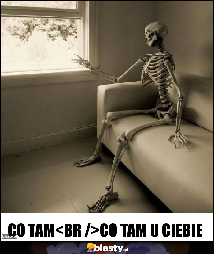co tam
co tam u ciebie co tam
co tam u ciebie