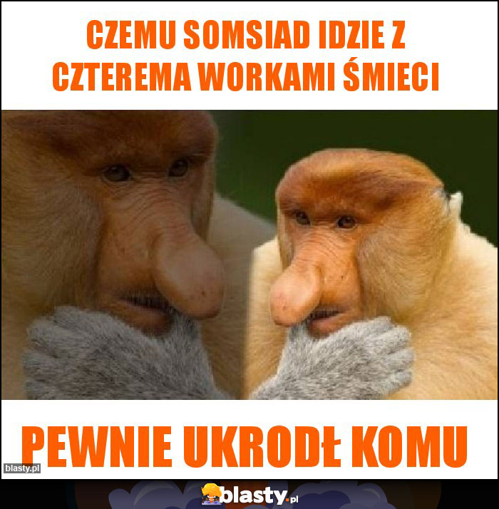 czemu somsiad idzie z czterema workami śmieci czemu somsiad idzie z czterema workami śmieci